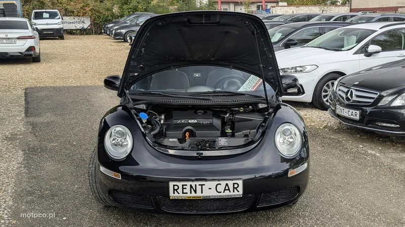 Volkswagen New Beetle 32