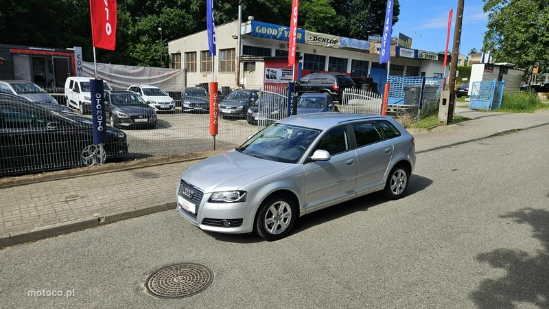 Audi A3 8P 14