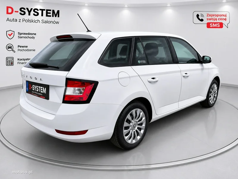 Skoda Fabia III 13