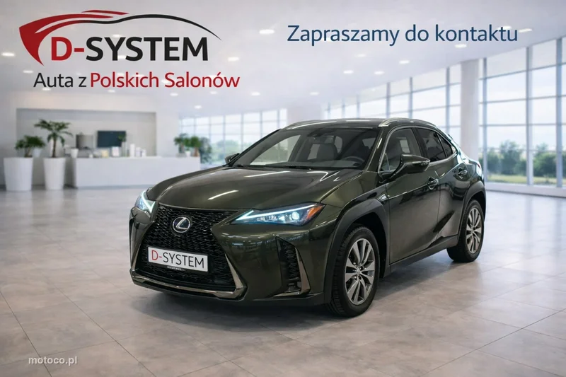 Lexus UX 11