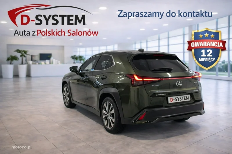 Lexus UX 8