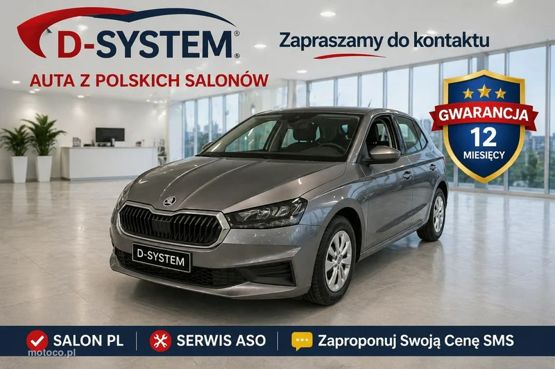 Skoda Fabia IV 10