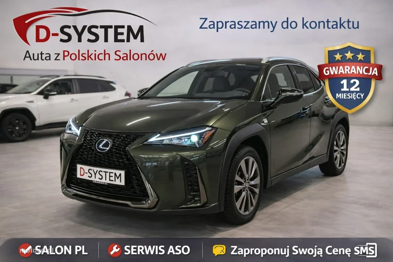 Lexus UX 10