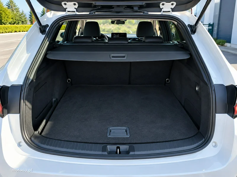Toyota Corolla E210 12
