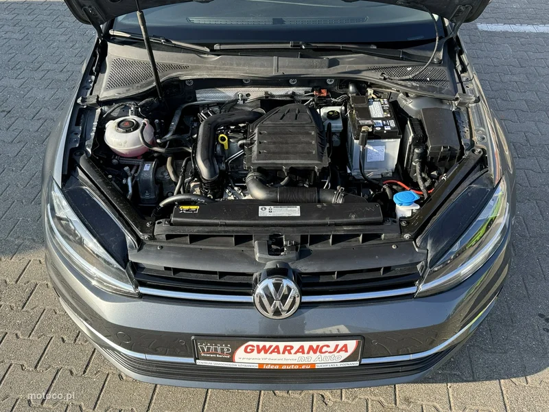 Volkswagen Golf VII 16