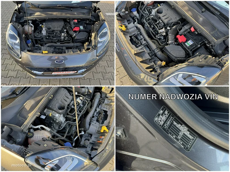 Ford Puma II 13