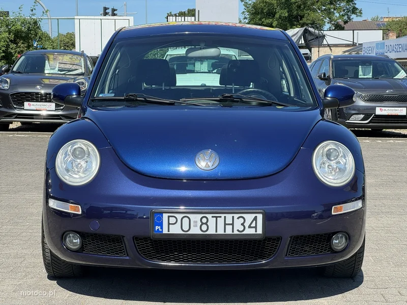 Volkswagen New Beetle 12