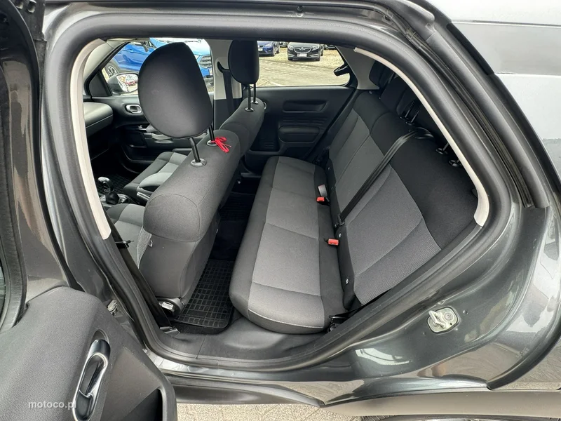 Citroen C4 Cactus 19