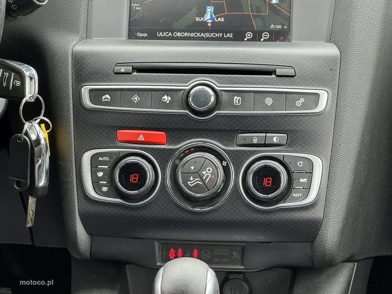 DS Automobiles DS 4 29