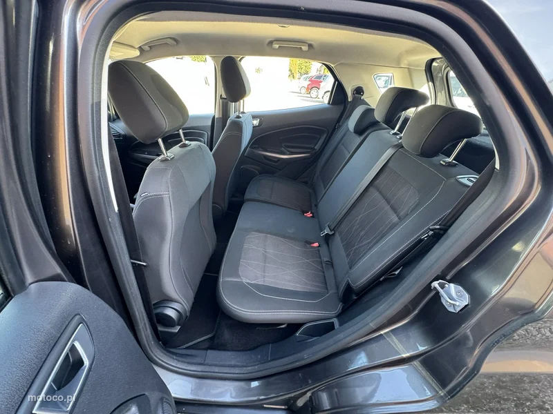 Ford EcoSport 19