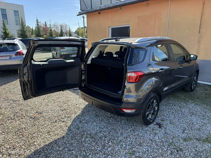 Ford EcoSport 21