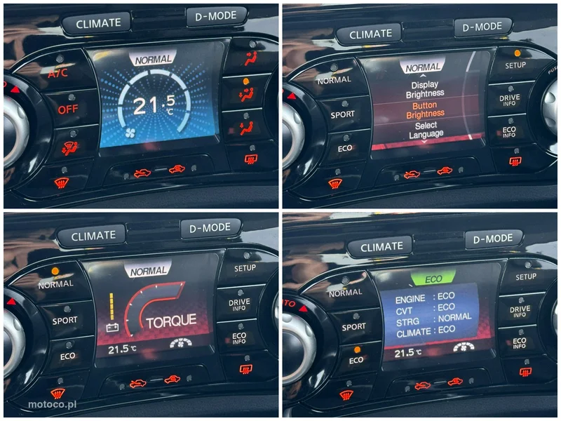 Nissan Juke 31