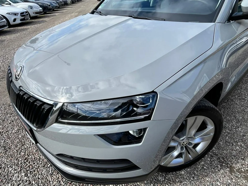 Skoda Karoq I 31