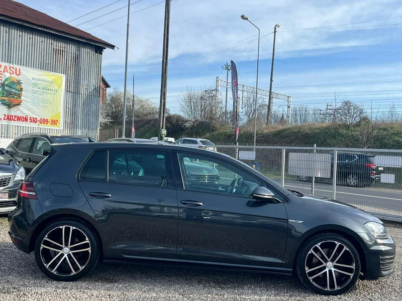 Volkswagen Golf VII 13