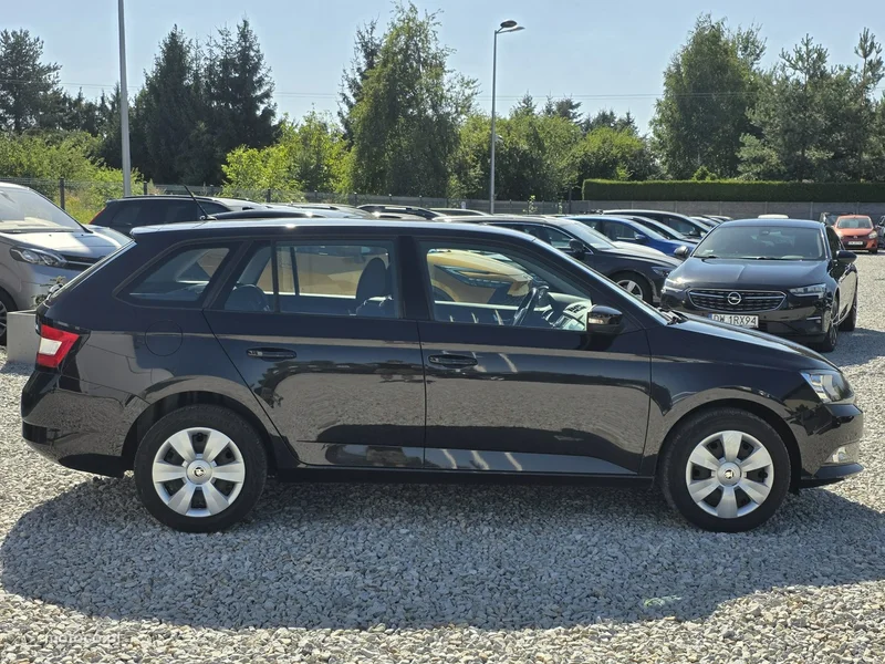 Skoda Fabia III 10