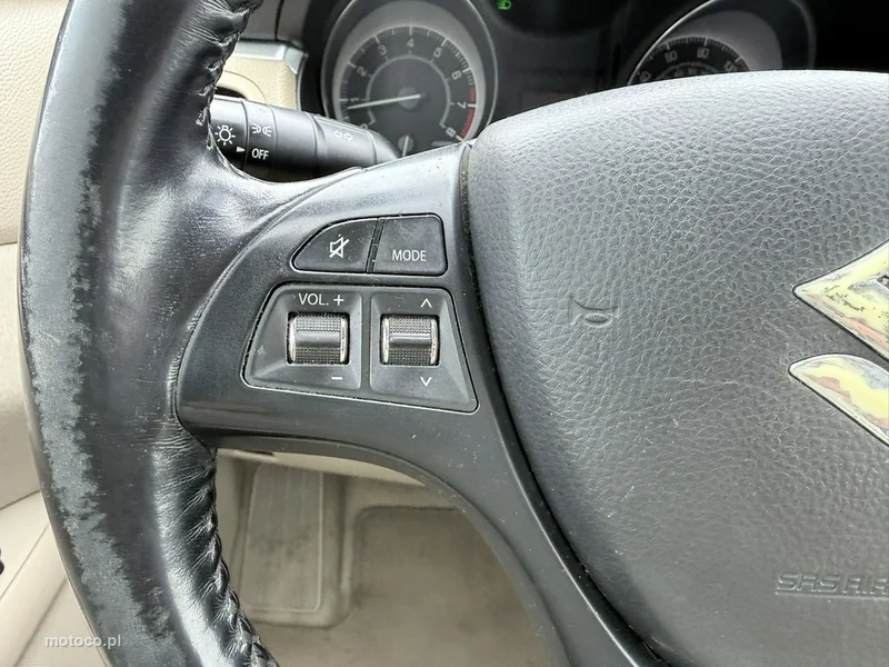 Suzuki Kizashi 19