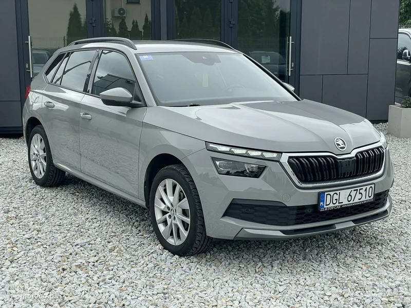 Skoda Kamiq I 3