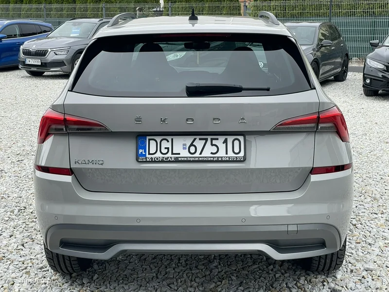 Skoda Kamiq I 8