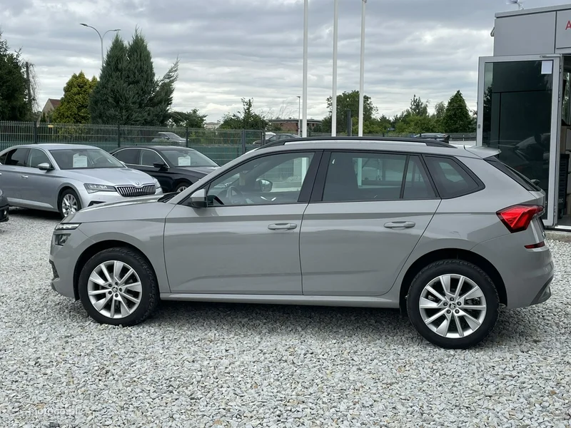 Skoda Kamiq I 10