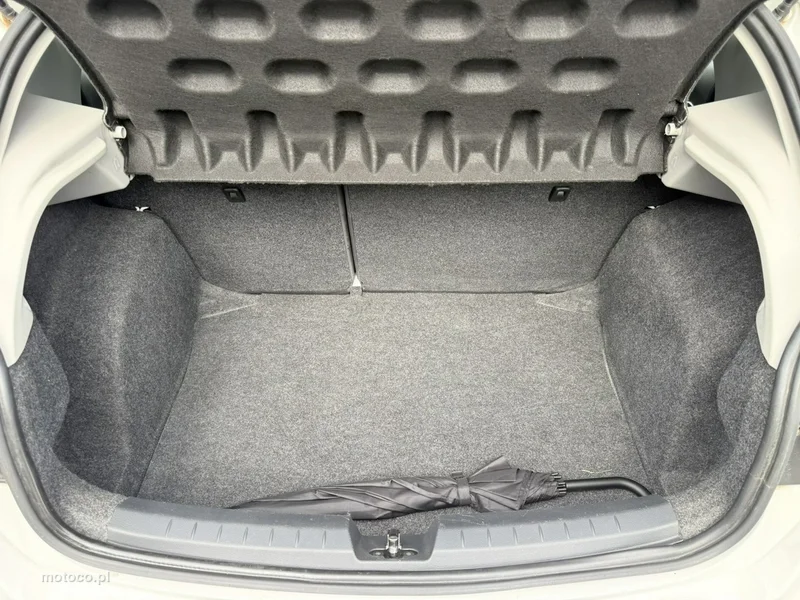 Seat Ibiza 21