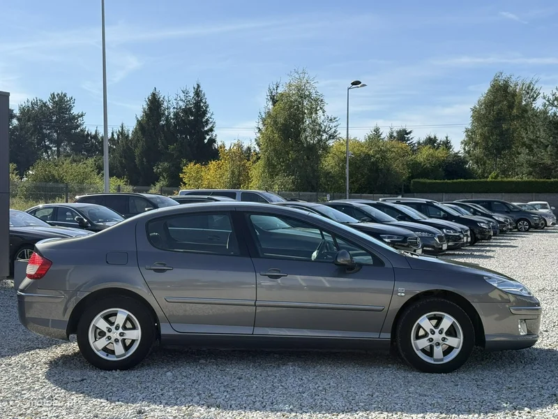 Peugeot 407 12