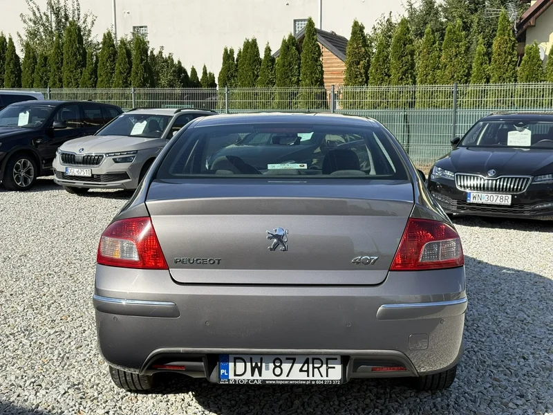 Peugeot 407 10
