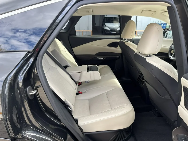Lexus RX 17