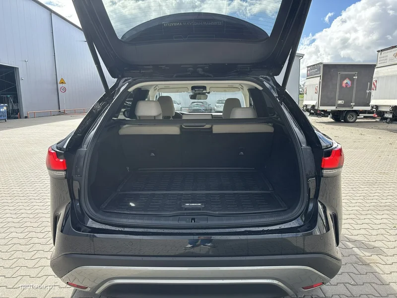 Lexus RX 21