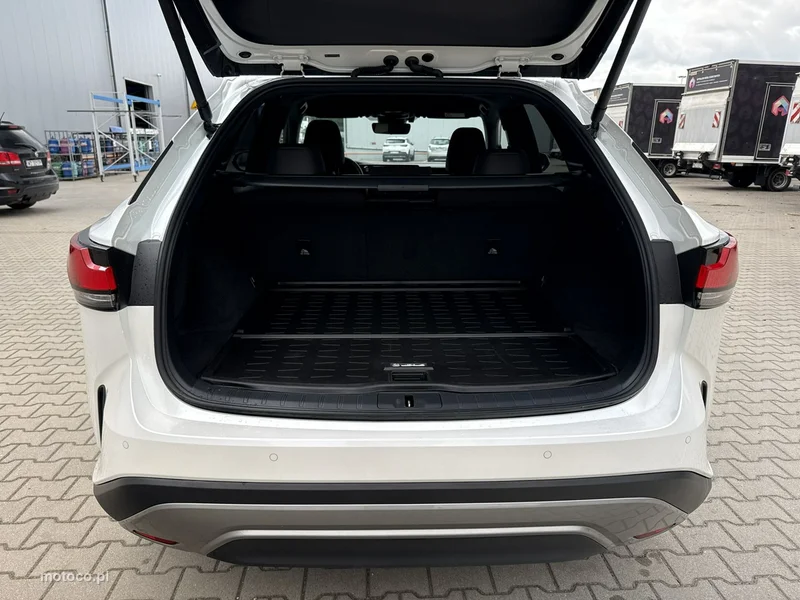 Lexus RX 18