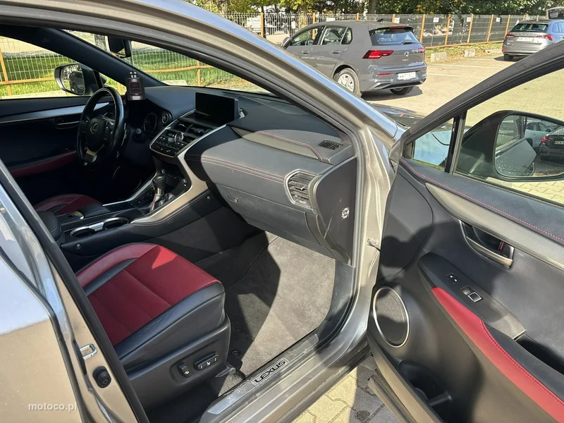 Lexus NX 16