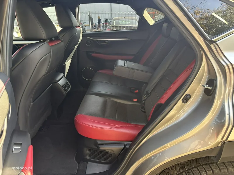 Lexus NX 19