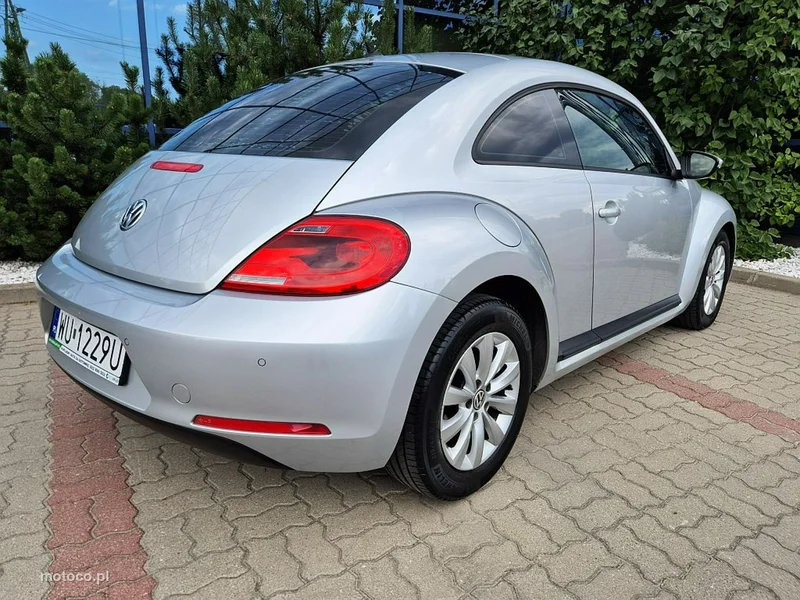 Volkswagen Beetle 18