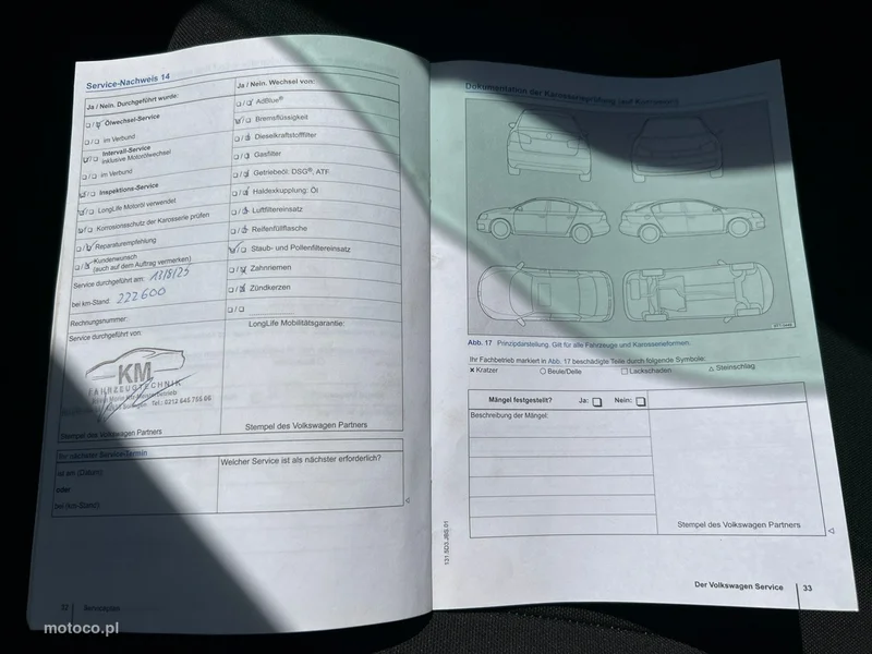 Volkswagen Beetle 9