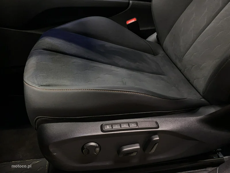 Cupra Terramar 13