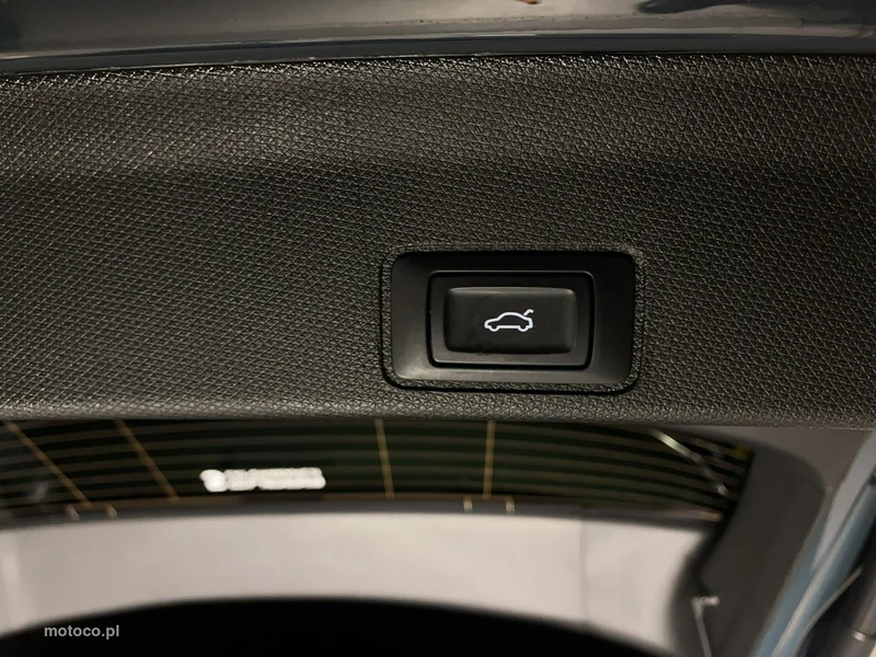 Cupra Terramar 19