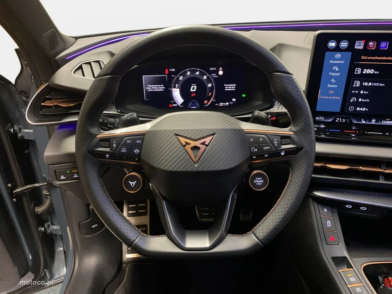 Cupra Terramar 22