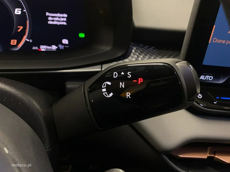 Cupra Terramar 25