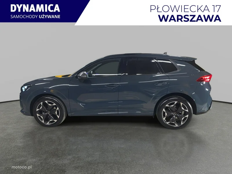 Cupra Terramar 4