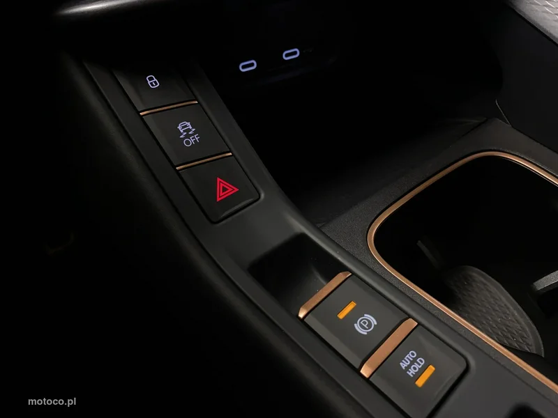 Cupra Terramar 35