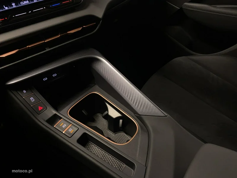 Cupra Terramar 36