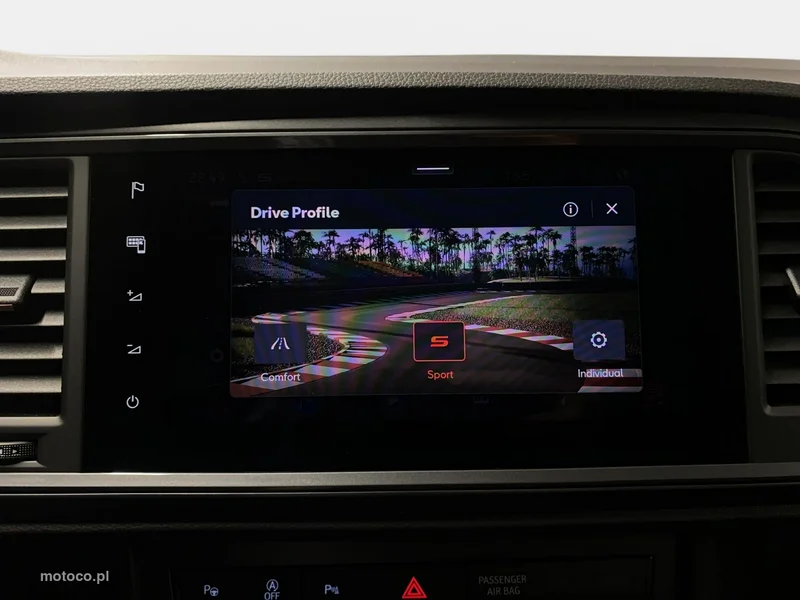 Cupra Ateca 31