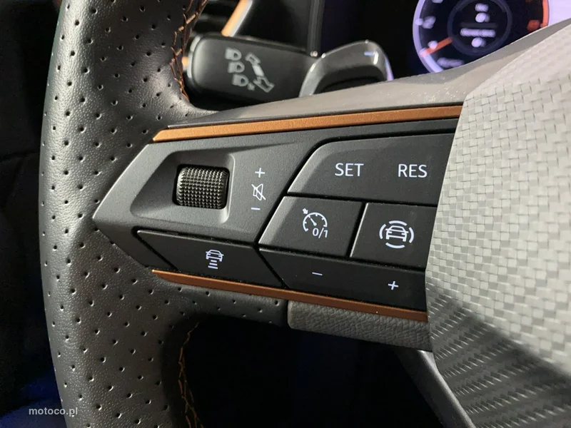 Cupra Formentor 22