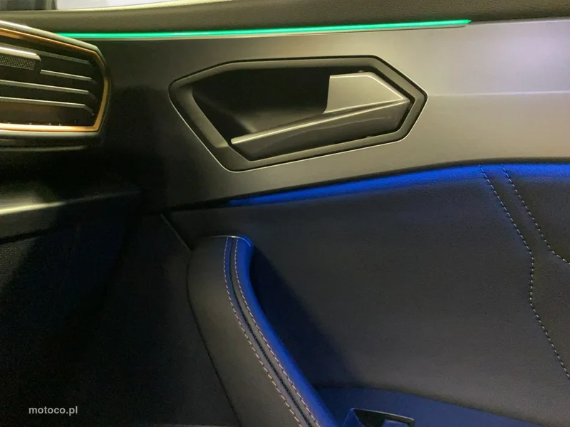 Cupra Formentor 29
