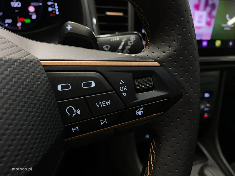 Cupra Ateca 21