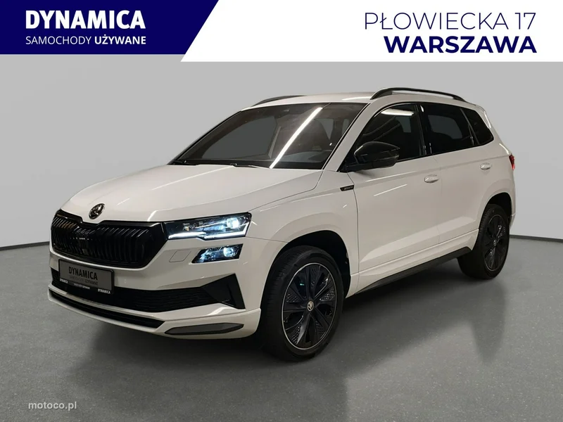 Skoda Karoq I 3