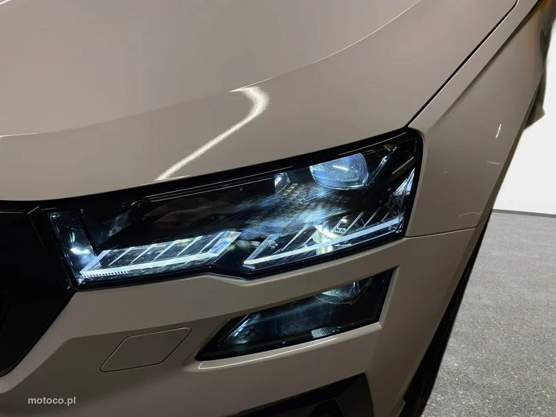Skoda Karoq I 9