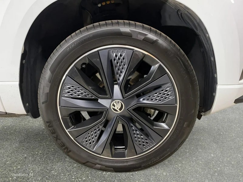 Skoda Karoq I 10
