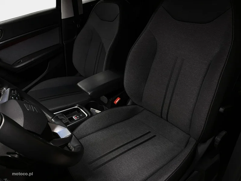 Seat Ateca 39