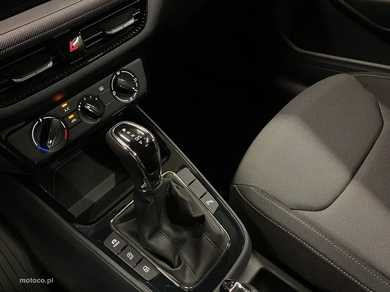 Skoda Fabia IV 29