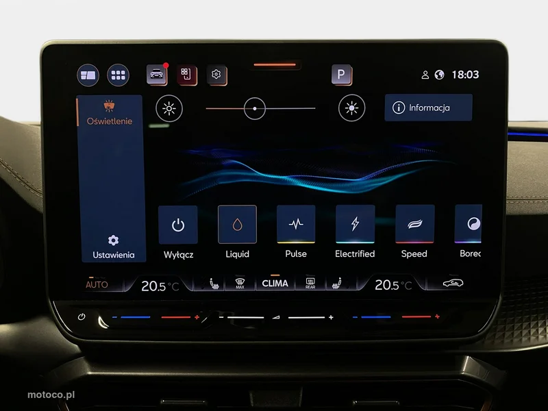 Cupra Formentor 33